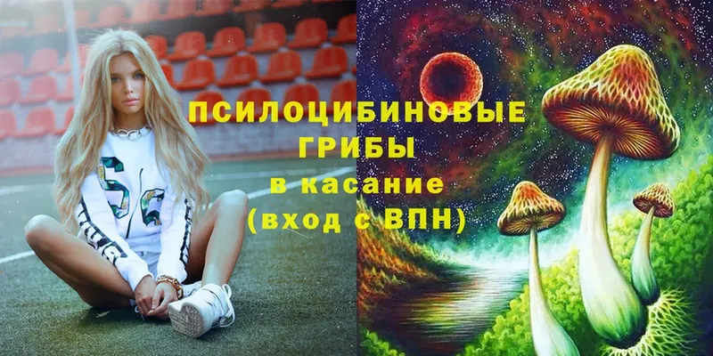 купить   Сарапул  OMG   Галлюциногенные грибы Magic Shrooms 