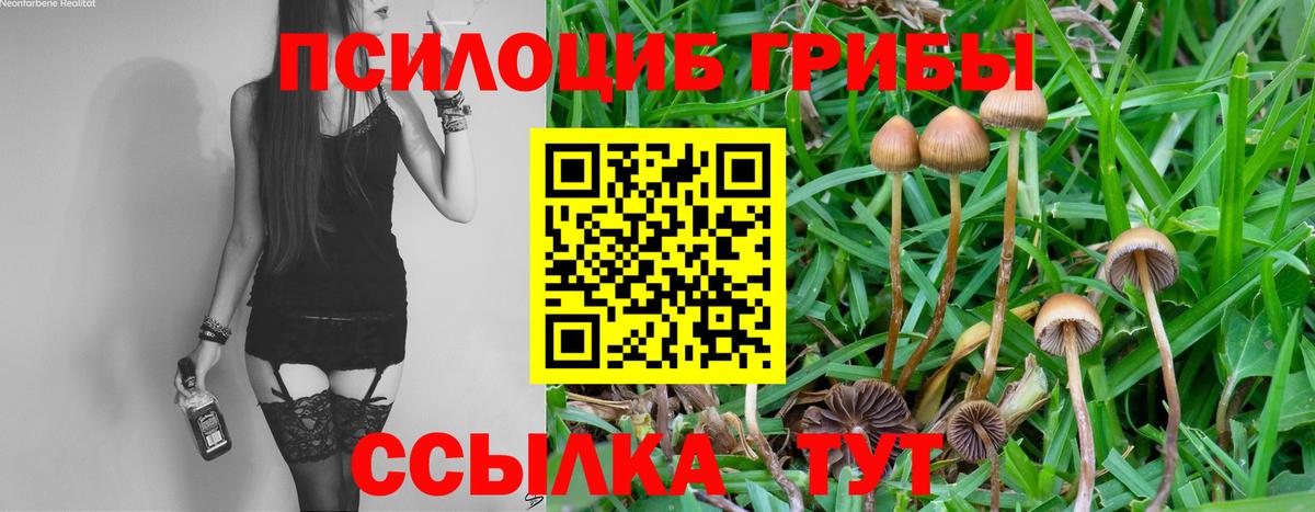 Сарапул  Галлюциногенные грибы мухоморы  Вход с VPN 